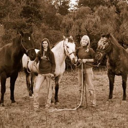 Is Horse Keeping Right For You?